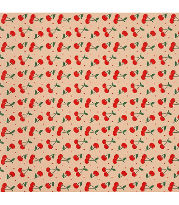 Rollo papel de regalo 70x200 cm Nature Classic-  Caja 50 rollos