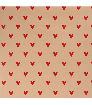 Rollo papel de regalo 70x200 cm Especial Nature - Caja 50 rollos