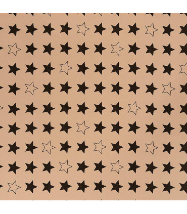 Rollo papel de regalo 70x200 cm Especial Nature - Caja 50 rollos